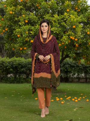 MAROON SKIN MEHNDI PREMIUM CHIFFON 3PC SUIT, FRONT VIEW